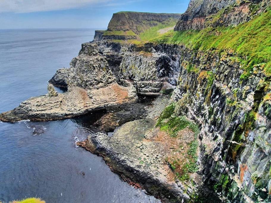 Cushendall Stables Exteriör bild